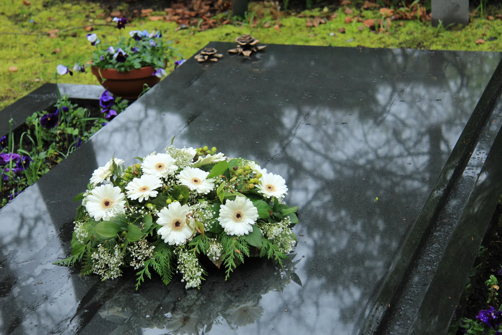Mortality in the United States: Past, Present, and Future