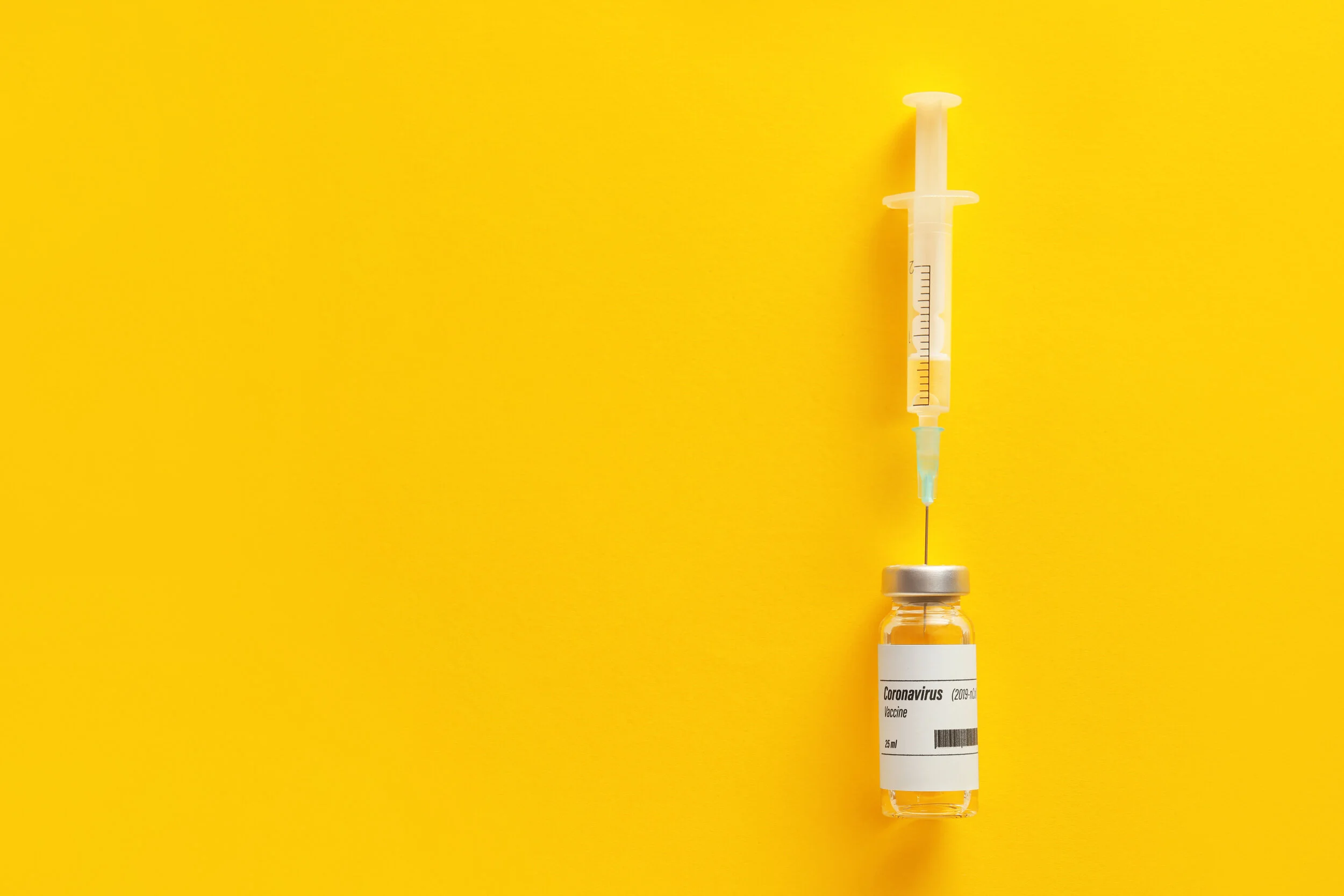 Epidemiological and Economic Effects of the COVID-19 Vaccine in 2021