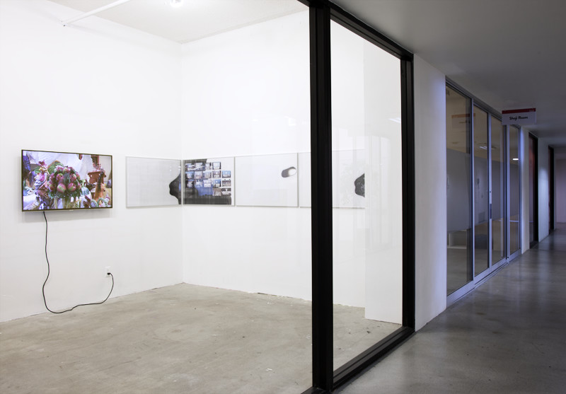 Installation view Coconut Point, 2016, Calarts REEF Residency, Los Angeles