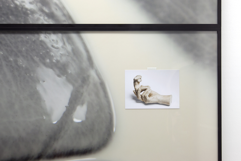 Ornamentation, 2016, digital prints, postcard, 140 x 150 cm