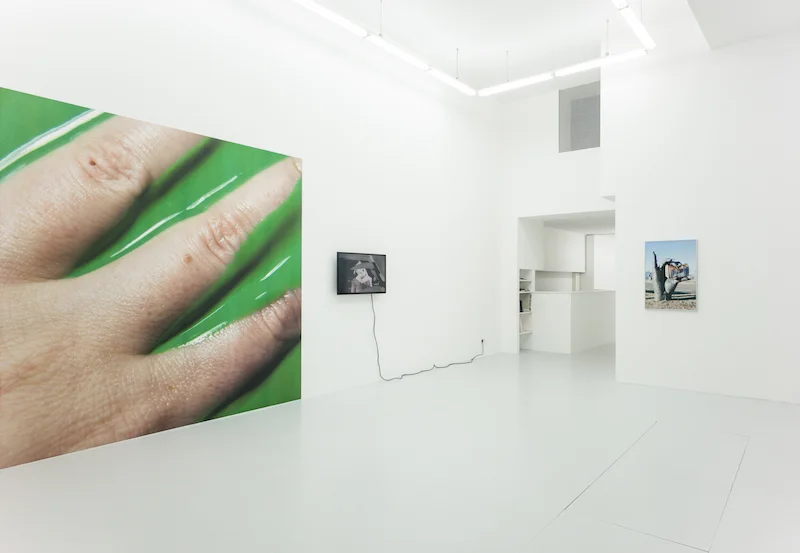 Installation view Double, 2017, fiebach, minninger, Cologne