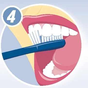 how-to-brush-with-dentures.jpg