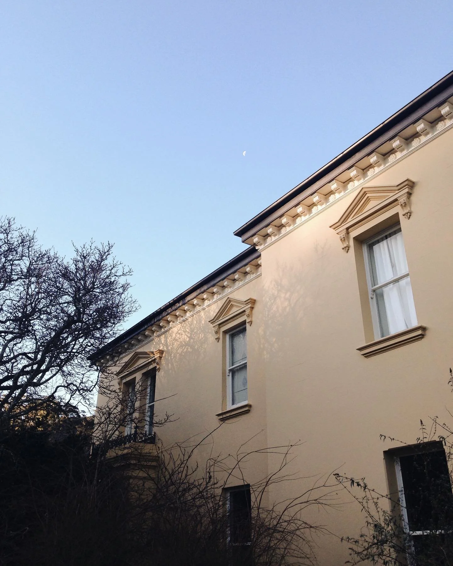 Winter sunsets, dappled light and a tiny moon 🌙