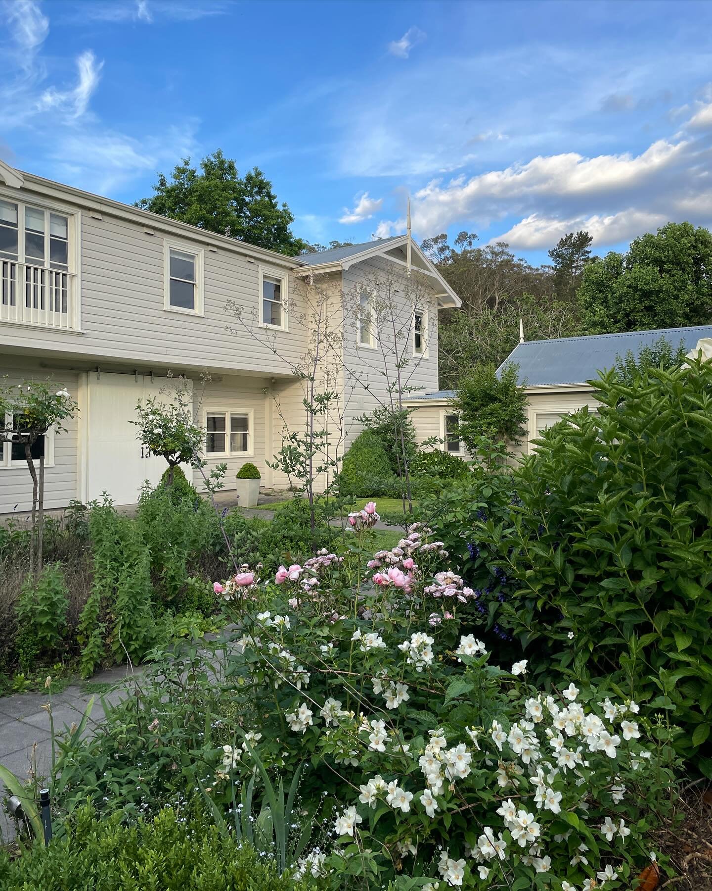 The delights of late spring as she sheds her cloak and steps eagerly towards early summer, complete with apple boughs, roses and a cacophony of cicadas and birdsong 🍓🐝🌻💫🌿

#theriftestate #thecoachhousebowral #bowral #southernhighlands #bowralacc