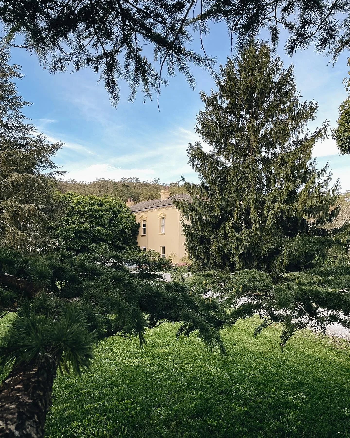 Garden vignettes 💫