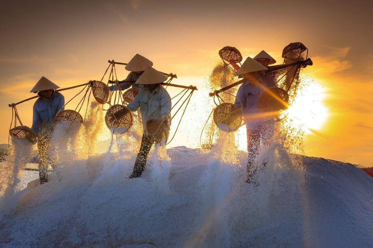  Image by  Quang Nguyen vinh  from  Pixabay  