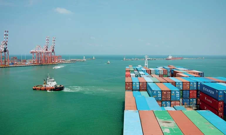   If the outlined measures are implemented, two prominent sectors will be opened up to international competition: shipping and tea  