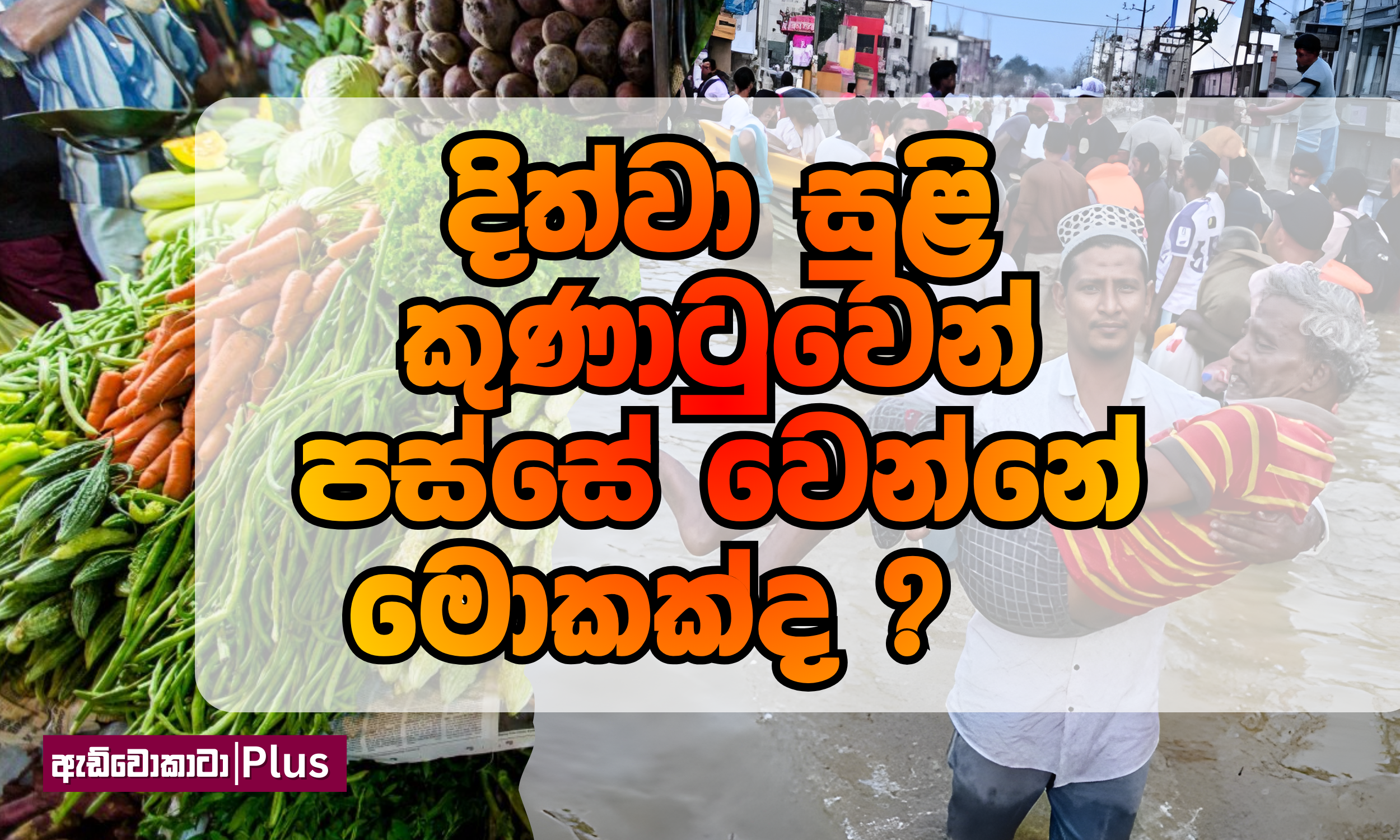 දිත්වා සුළි කුණාටුවෙන් පස්සේ වෙන්නේ මොකක්ද?    
