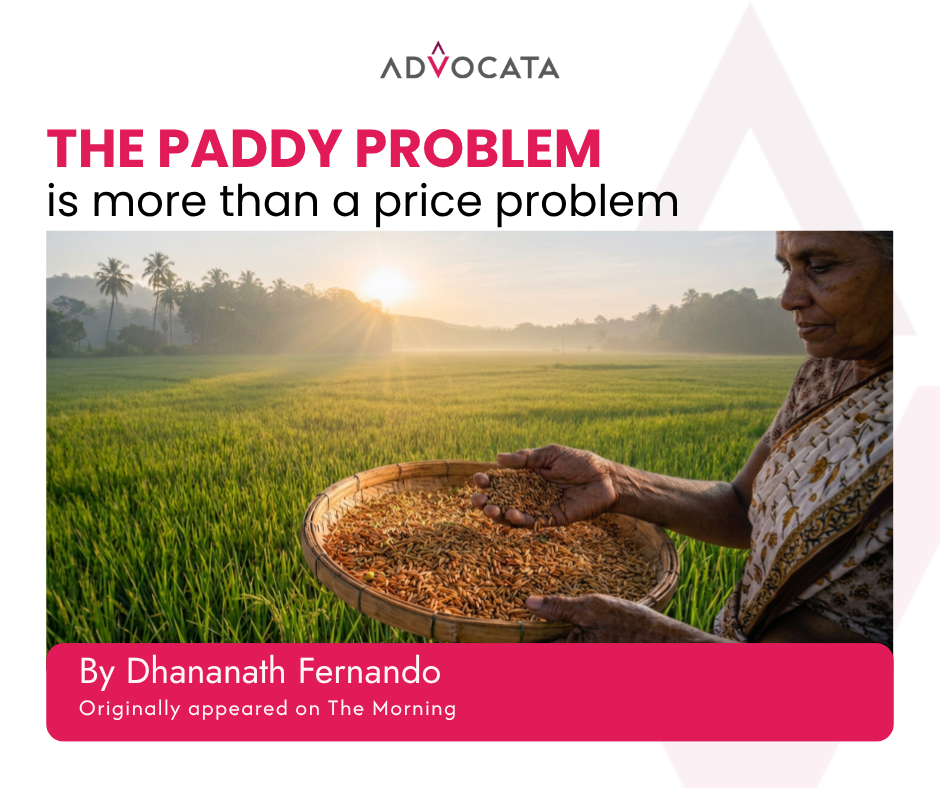 The paddy problem is more than a price problem