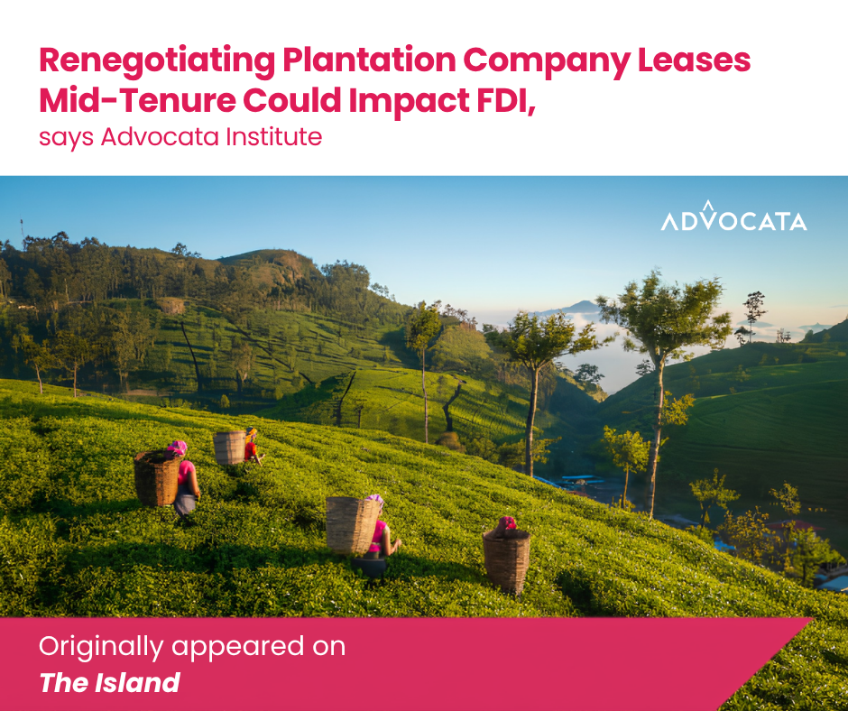Renegotiating Plantation Company Leases Mid-Tenure Could Impact FDI: Advocata Institute