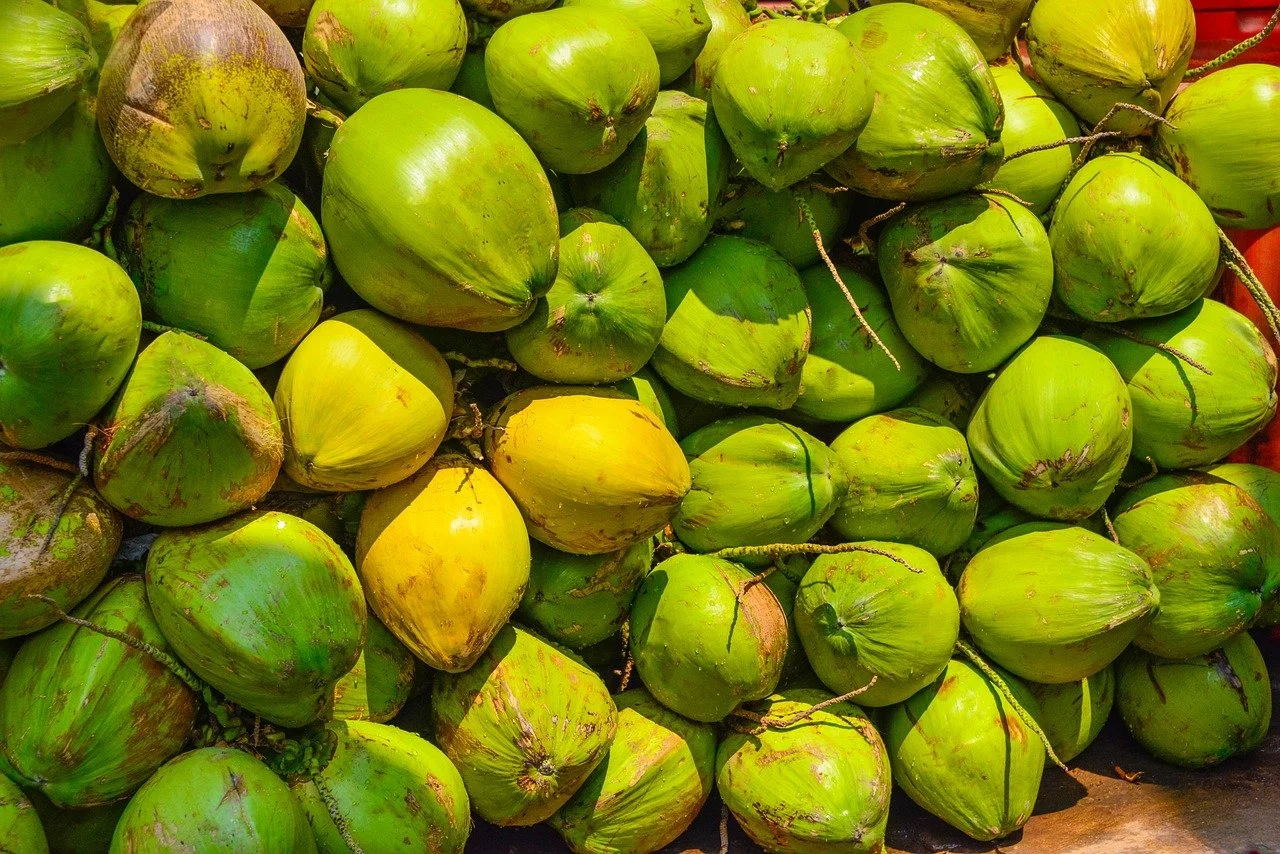  Image by  Mohan Nannapaneni  from  Pixabay  
