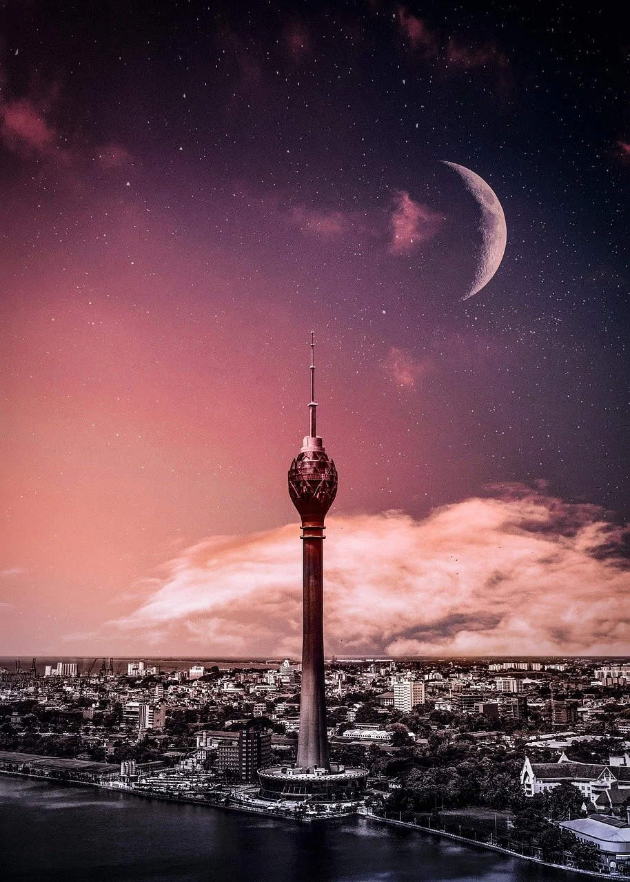  Image by  Kanishka Ranasinghe  from  Pixabay  