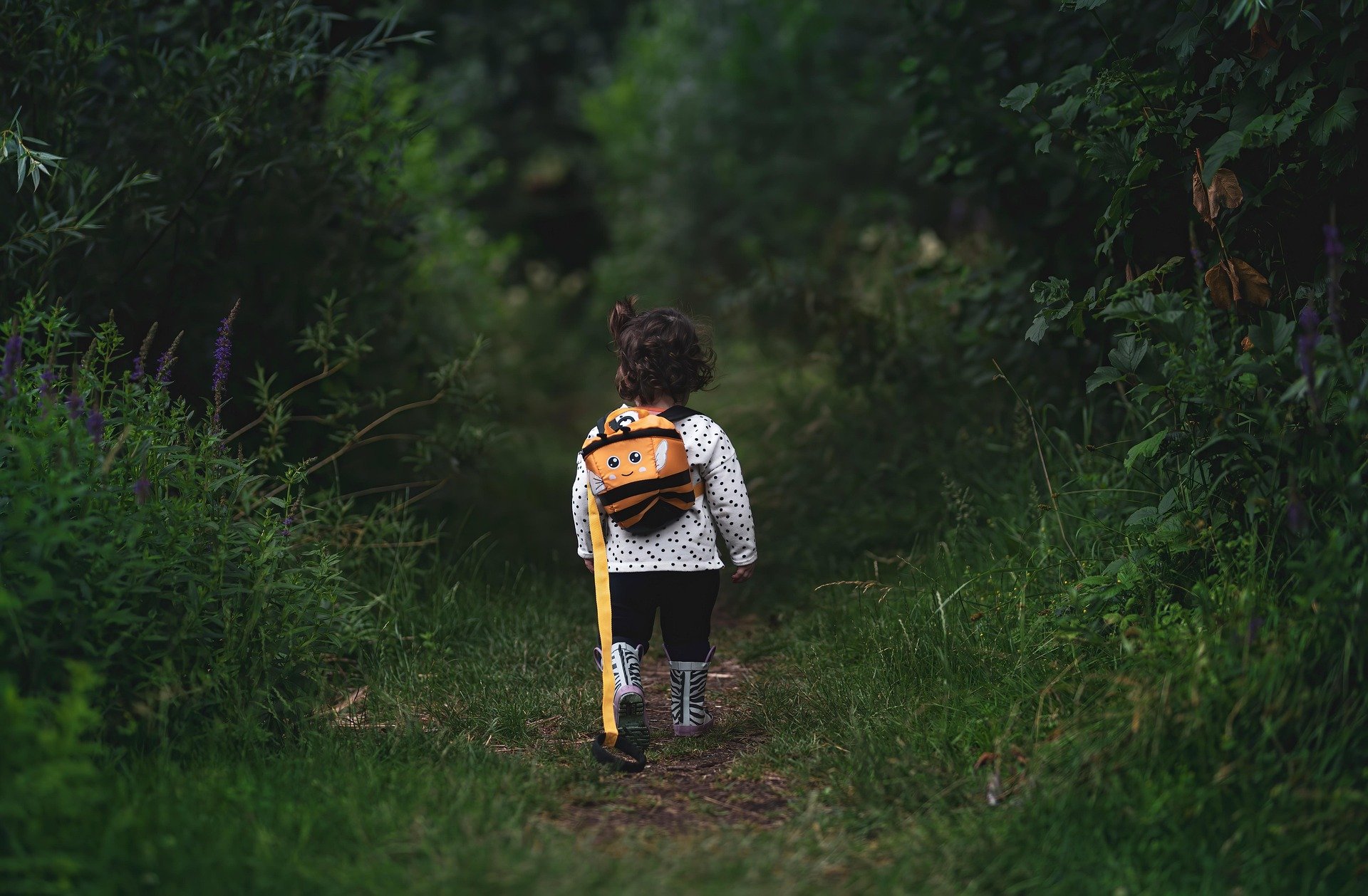  Image by  JonPauling  from  Pixabay  