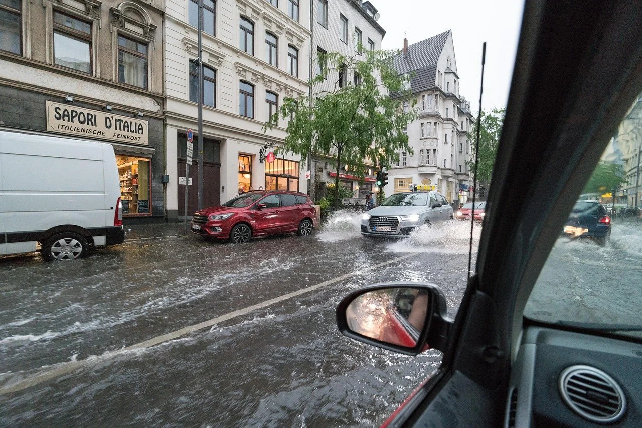  Cyclonic Storm Ditwah is catastrophic tropical cyclone that brought heavy rains to Sri Lanka and Southern India  Image by&nbsp; Stefan Bernsmann &nbsp;from&nbsp; Pixabay   