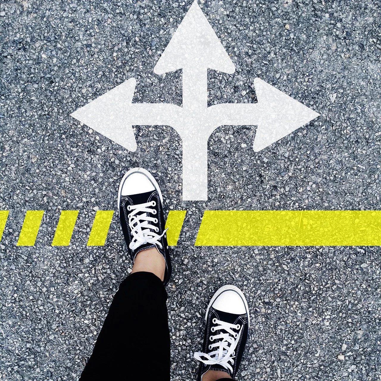  Image by  Rama Krishna Karumanchi  from  Pixabay  
