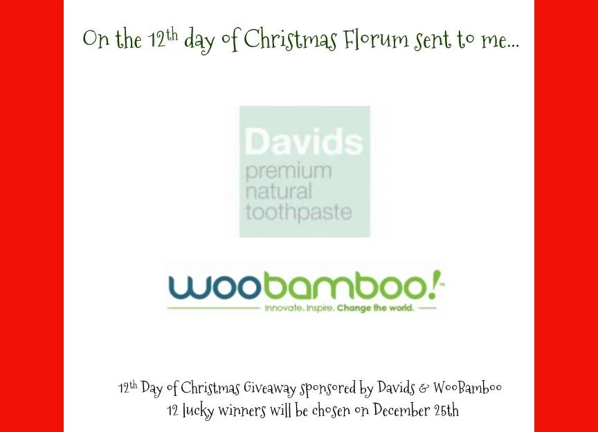 Florum12DaysofChristmasGiveaway_Page_13.jpeg