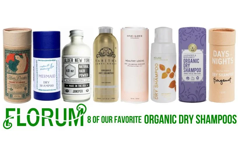 OrganicDryShampoo