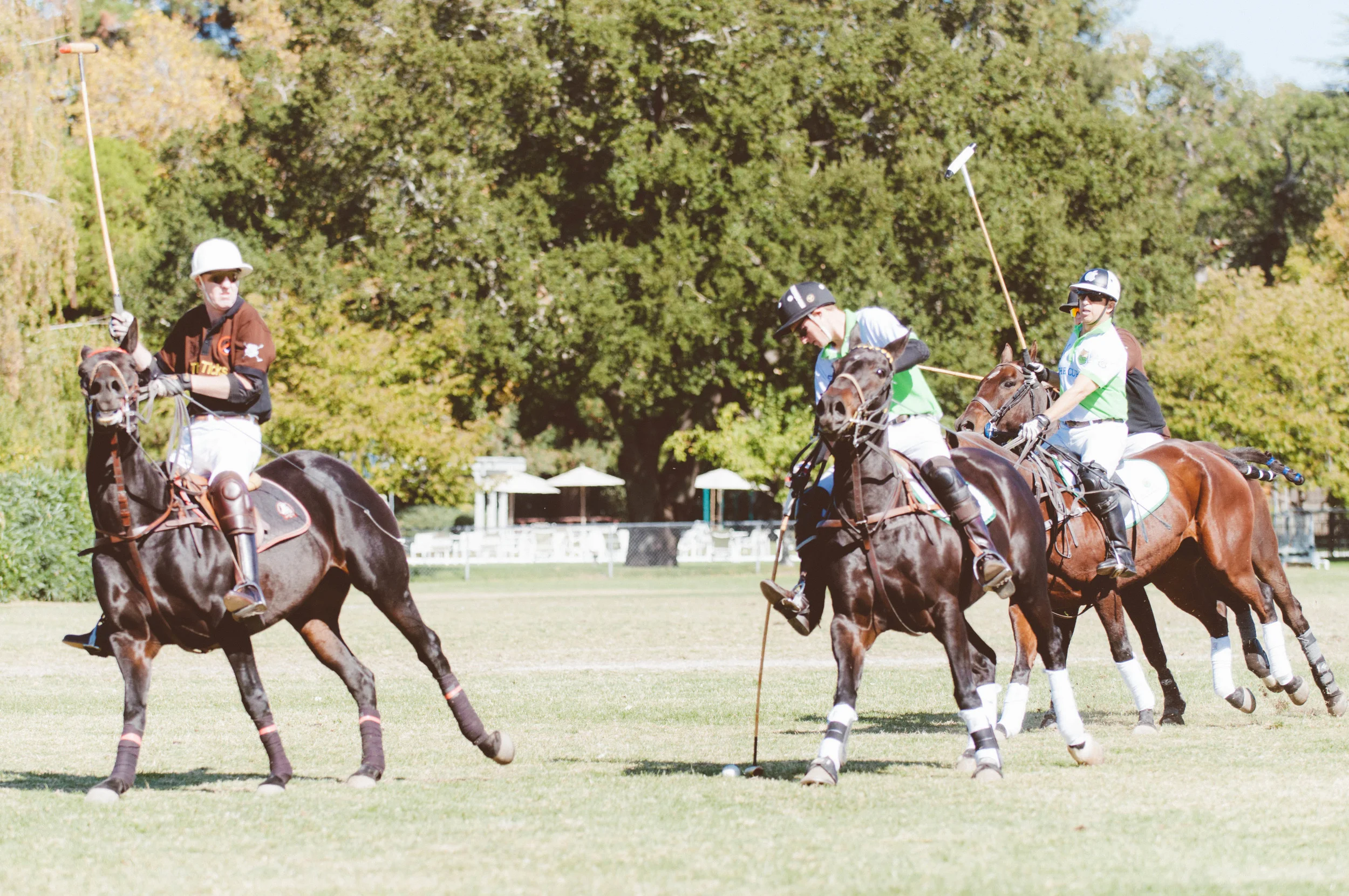 Polo for Lyme benefiting the Bay Area Lyme Foundation /&nbsp;Menlo Park Circus Club / Photographed by Stephen Sun