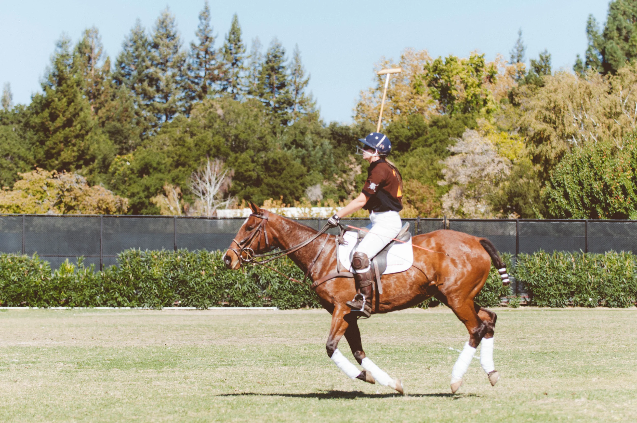 Polo for Lyme benefiting the Bay Area Lyme Foundation / Menlo Park Circus Club / Photographed by Stephen Sun