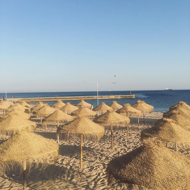 #LisbonPortugal is home to many many amazing beautiful beaches including #PraiaDoTamariz ☀️
#CasaDoMercadoLisboa is only a short 10 minute walk to the train station #CaisDoSodre (this train takes you to the beaches of #Cascais, #Tamariz, plus many mo