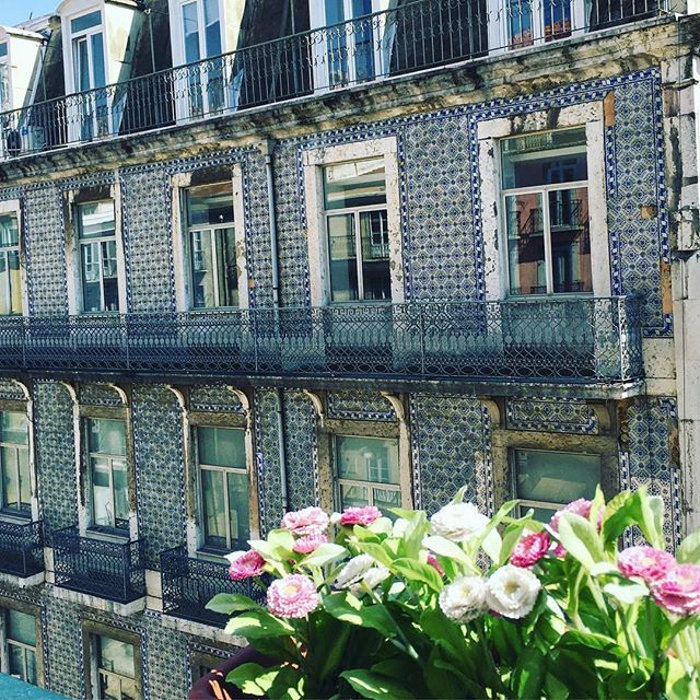 View from one of our #Suites
Photo credit: @betseylynnestyle #ExploreLisbon #GreenTourism #EcoTravel