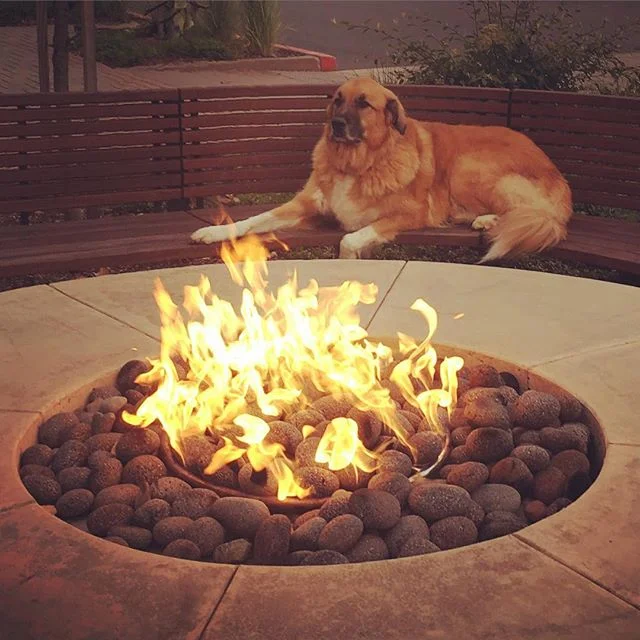 Why is mom taking so long to eat pizza? I'm ready to go home and have my #StellaAndChewys, this fire is getting way to hott...
#HurryUpMom