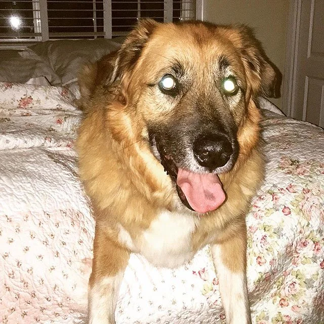 My mom says my eyes 'Shine bright like a diamond'