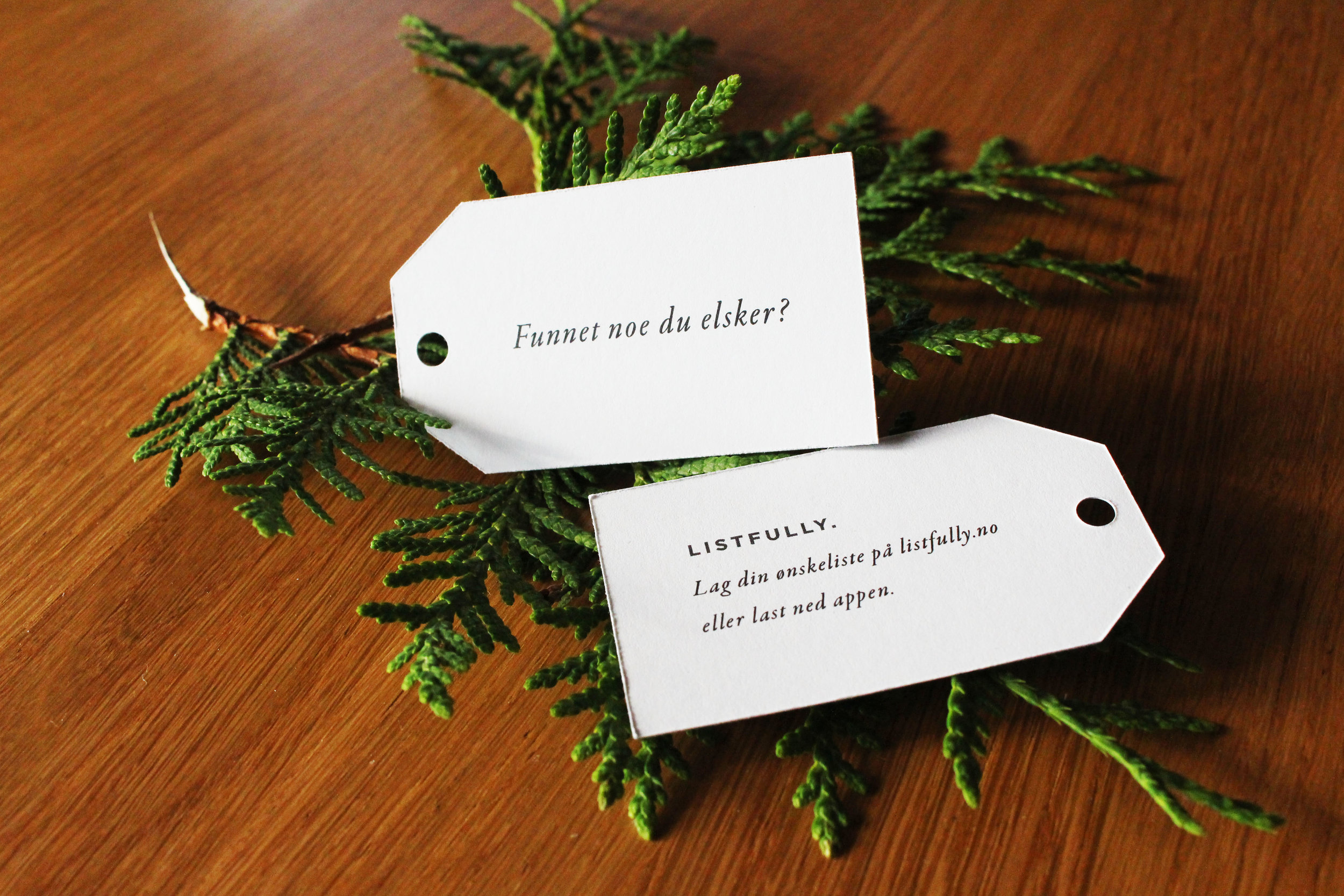 ListFully - Brooke Eriksen - Florum Fashion Magazine - Organic shopping - Sustainablilty - Norwegian Startups - Oslo Norway - organisk - norsk starte opp - motemagasin - bærekraftig naturlig  - female founders.jpg