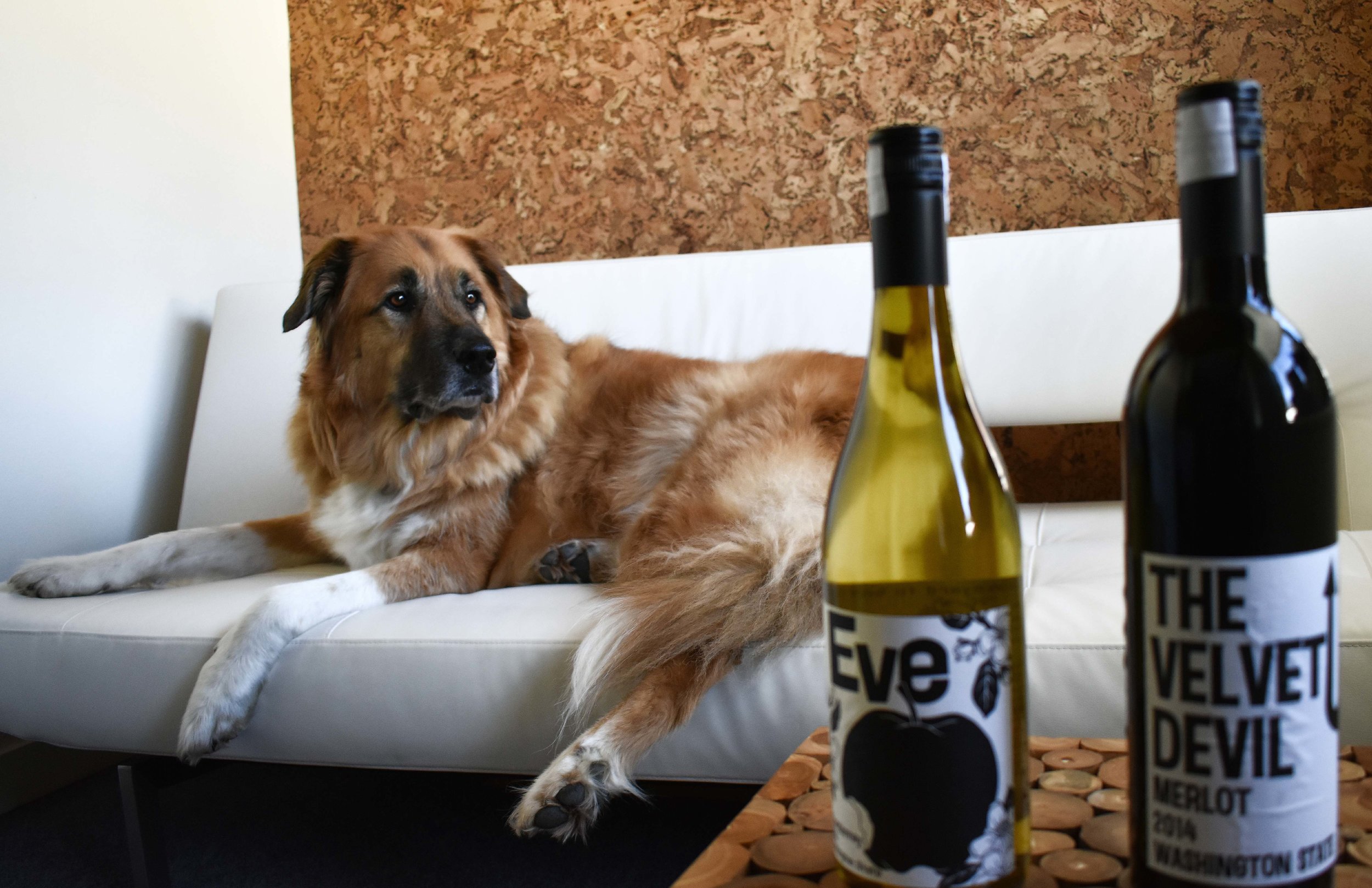 This Columbia Valley (Washington State) wine from Charles Smith Wines was the perfect touch to the room, I loved that it was both local and the label was unique. These bold labels (might I saw not forgettable) were designed by a friend of Charles Sm…