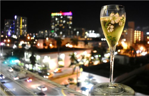 The fact the film was held in a parking garage only added to the uniqueness of the event,. There was just something about sipping on a glass of Perrier-Jouët in a parking garage, with views of Lincoln Rd and South Beach that was pretty incredible.