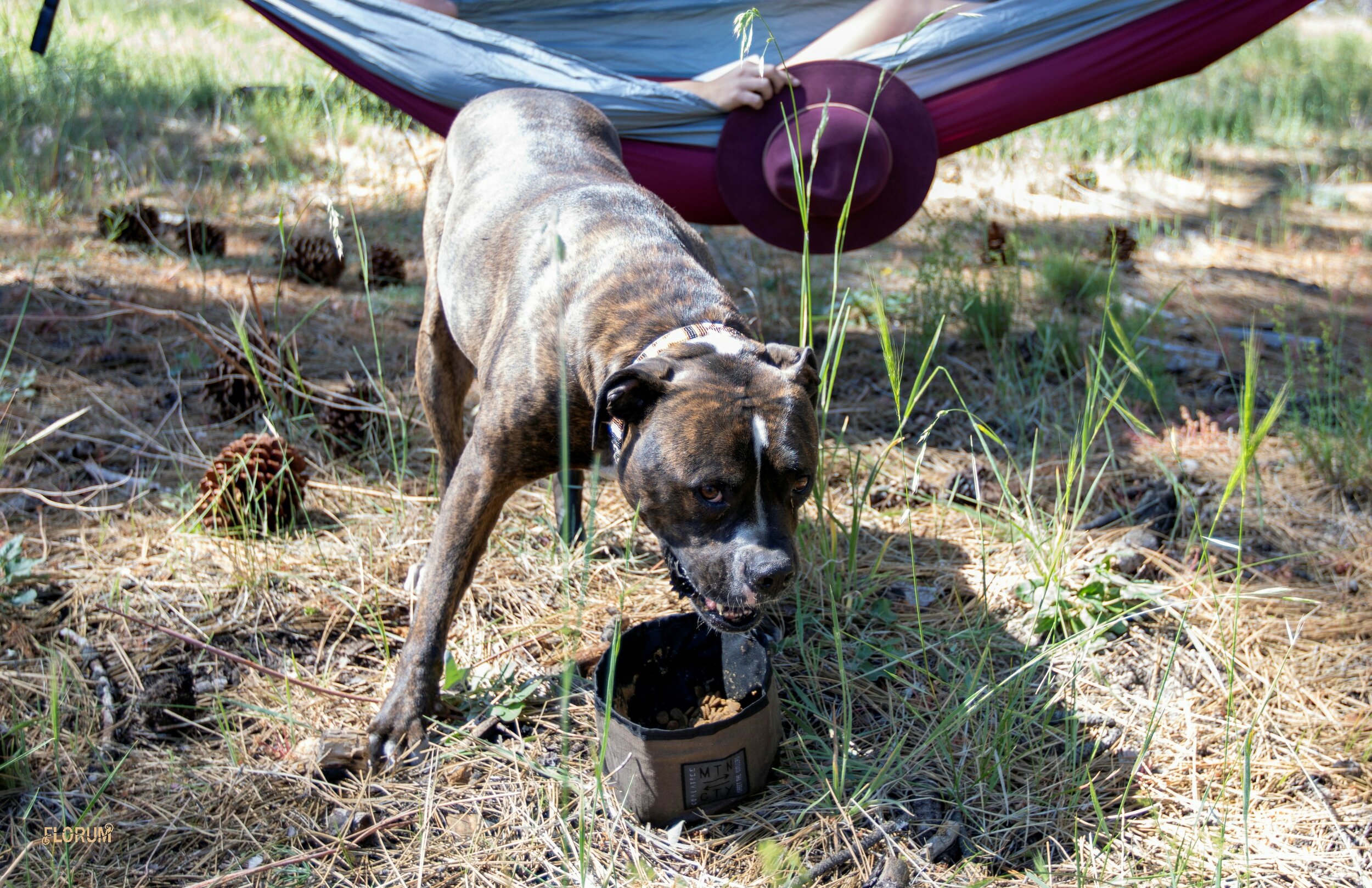 Sustainable Camping Florum Fashion Magazine - Noelle Lynne - photographed by Robert Van Roo - Eco friendly camping - Thomas Mountain Yellow Post Sites - san bernardino07.jpg