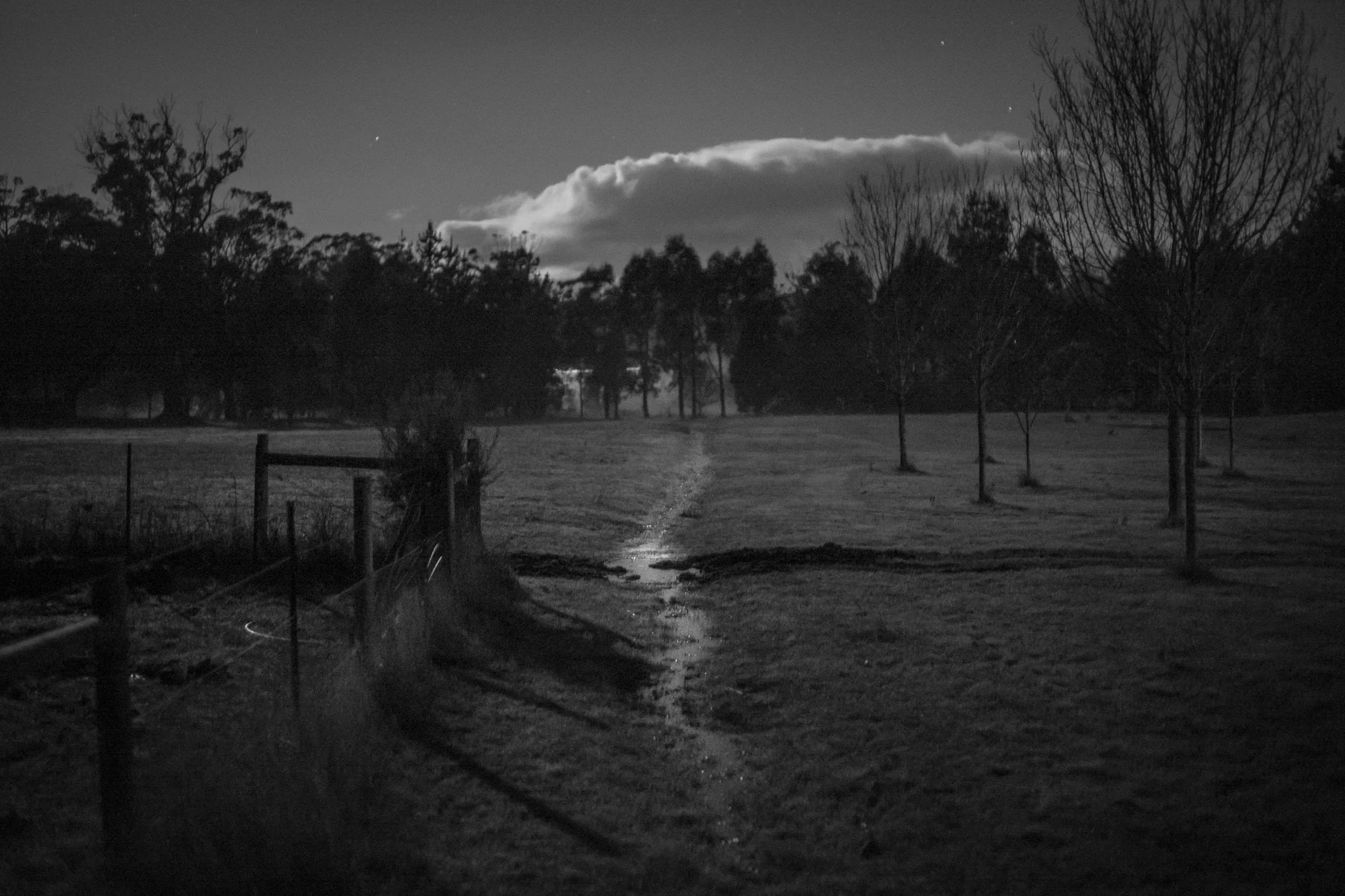 L1009346-Edit-Edit.jpg