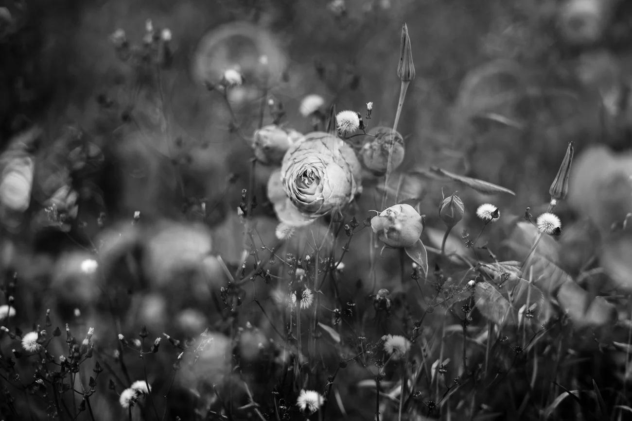 L1001391-Edit.jpg