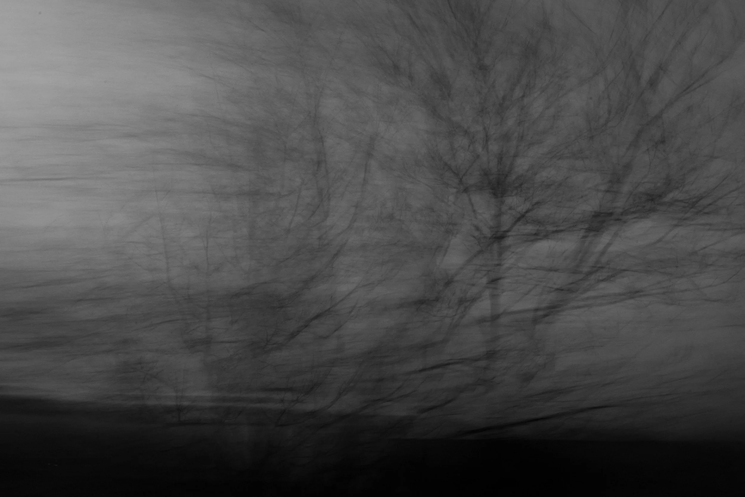 L1003046-Edit.jpg