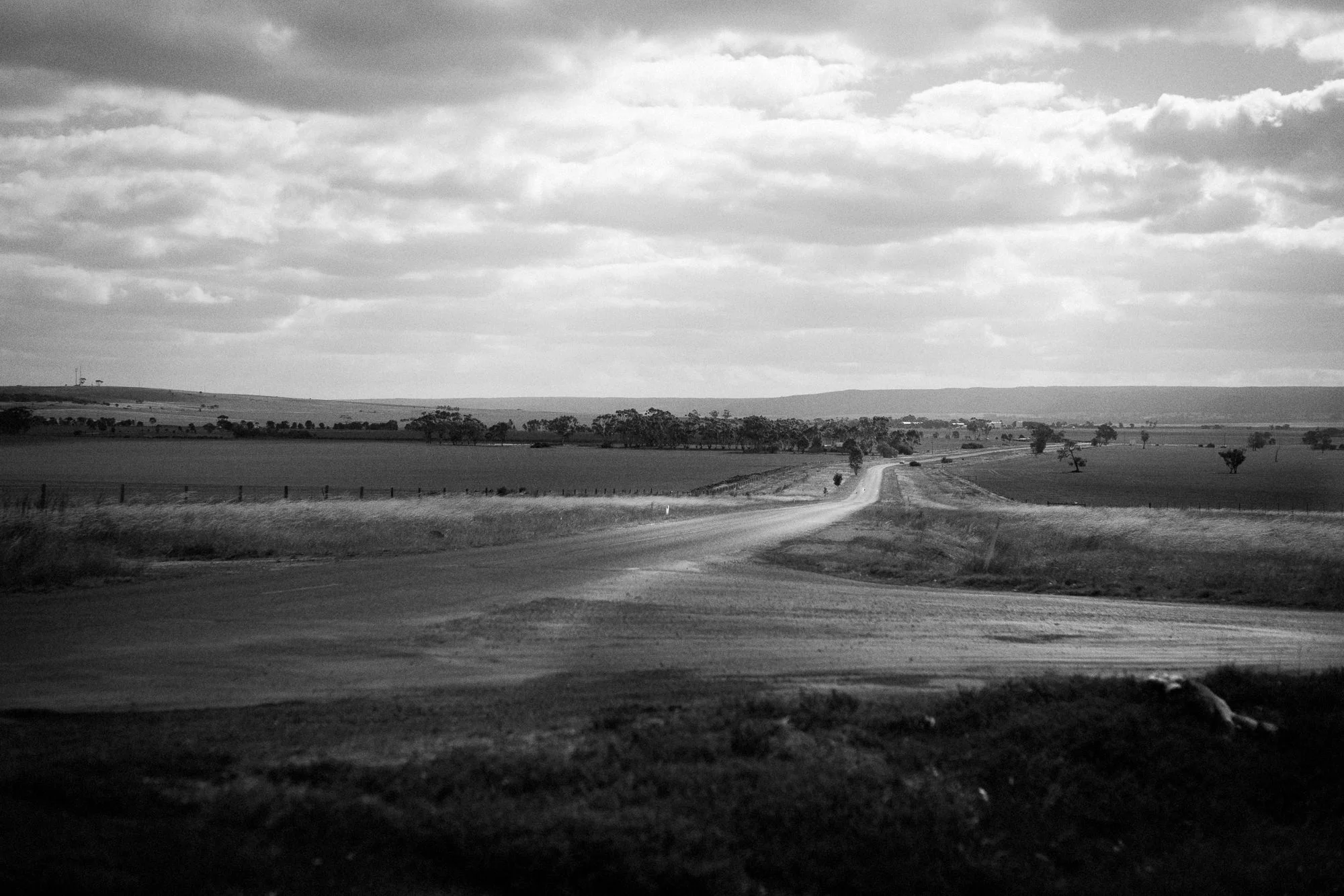 L1005621-Edit-Edit.jpg