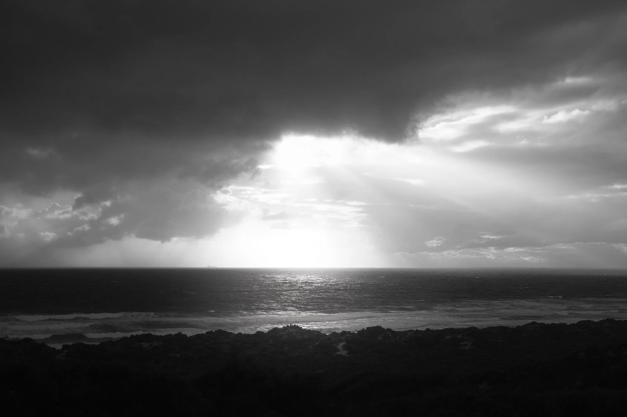 L1007021-Edit.jpg