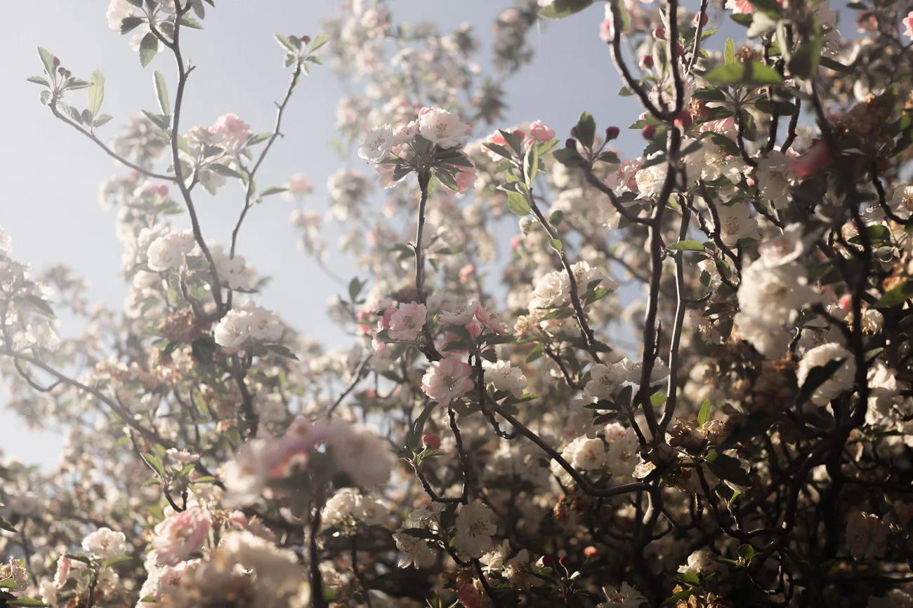 L1006325-Edit.jpg