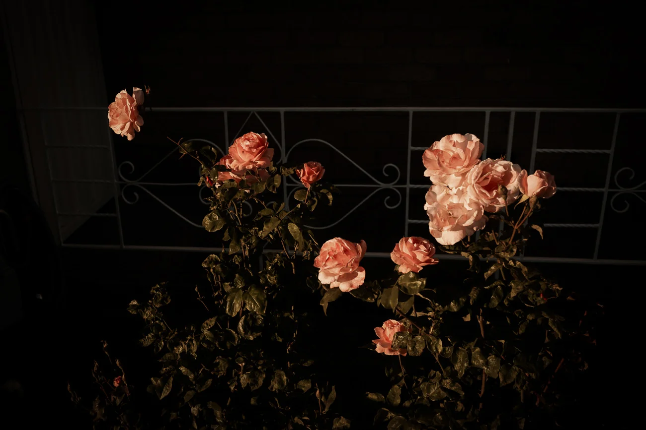 L1006735-Edit.jpg