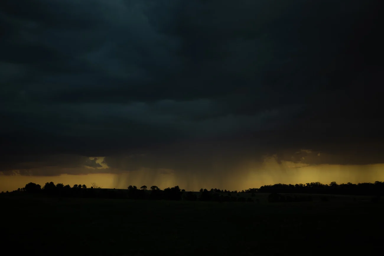 L1008403.jpg