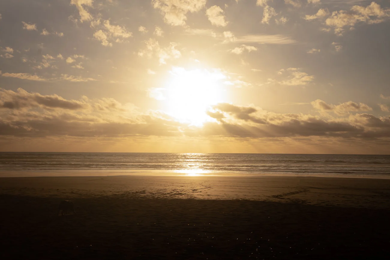 L1009149-Edit.jpg