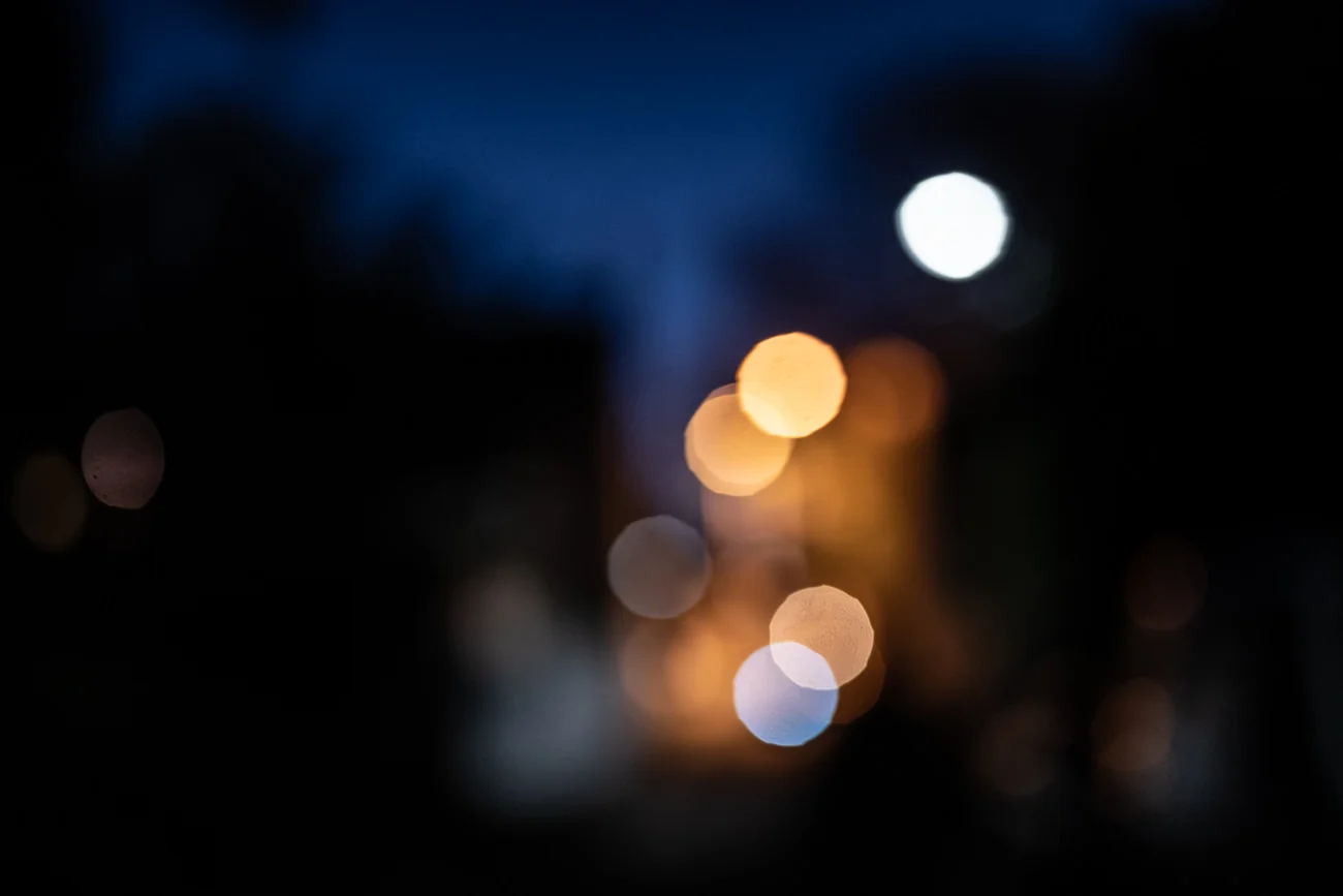 L1008392.jpg