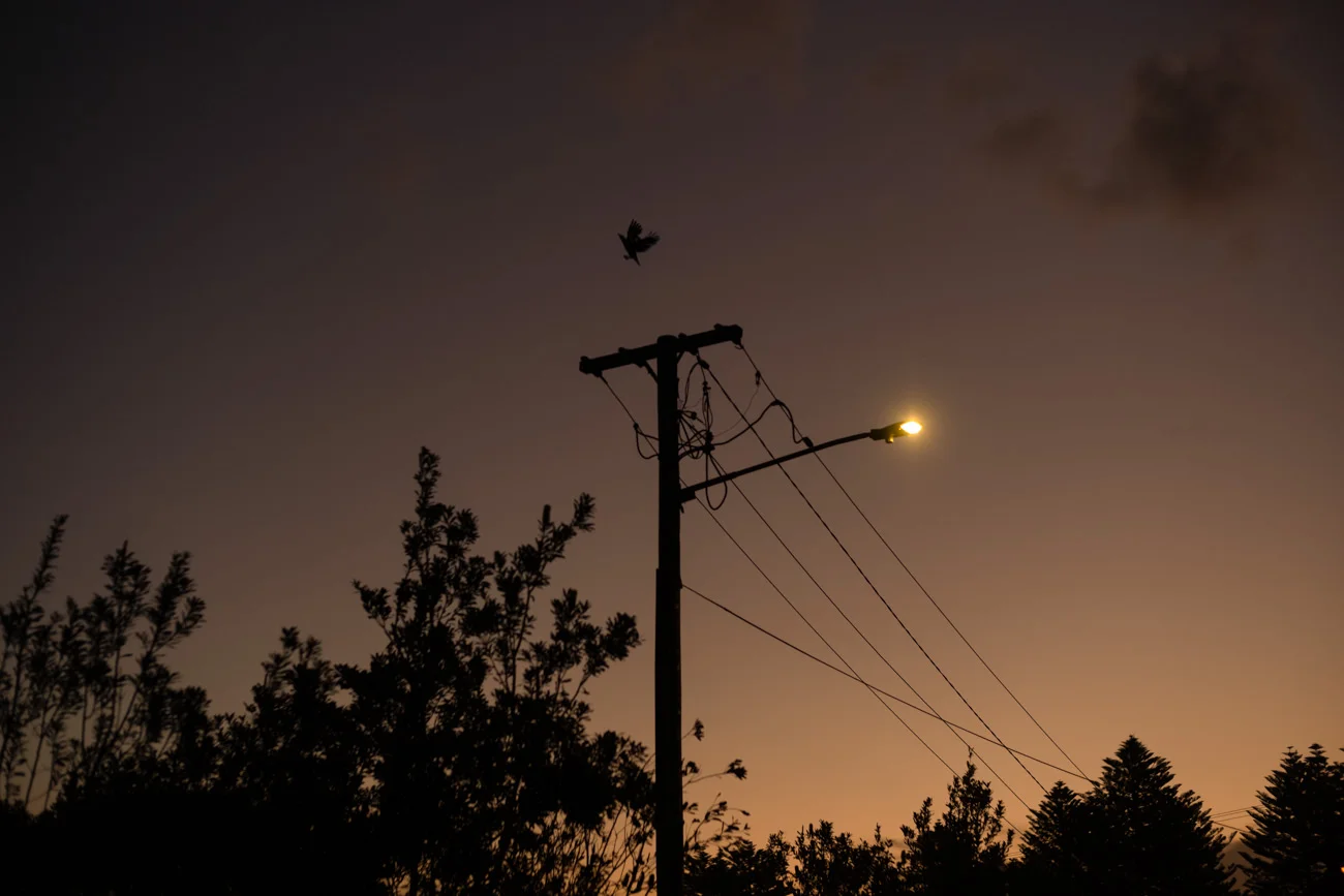 L1001467-Edit.jpg