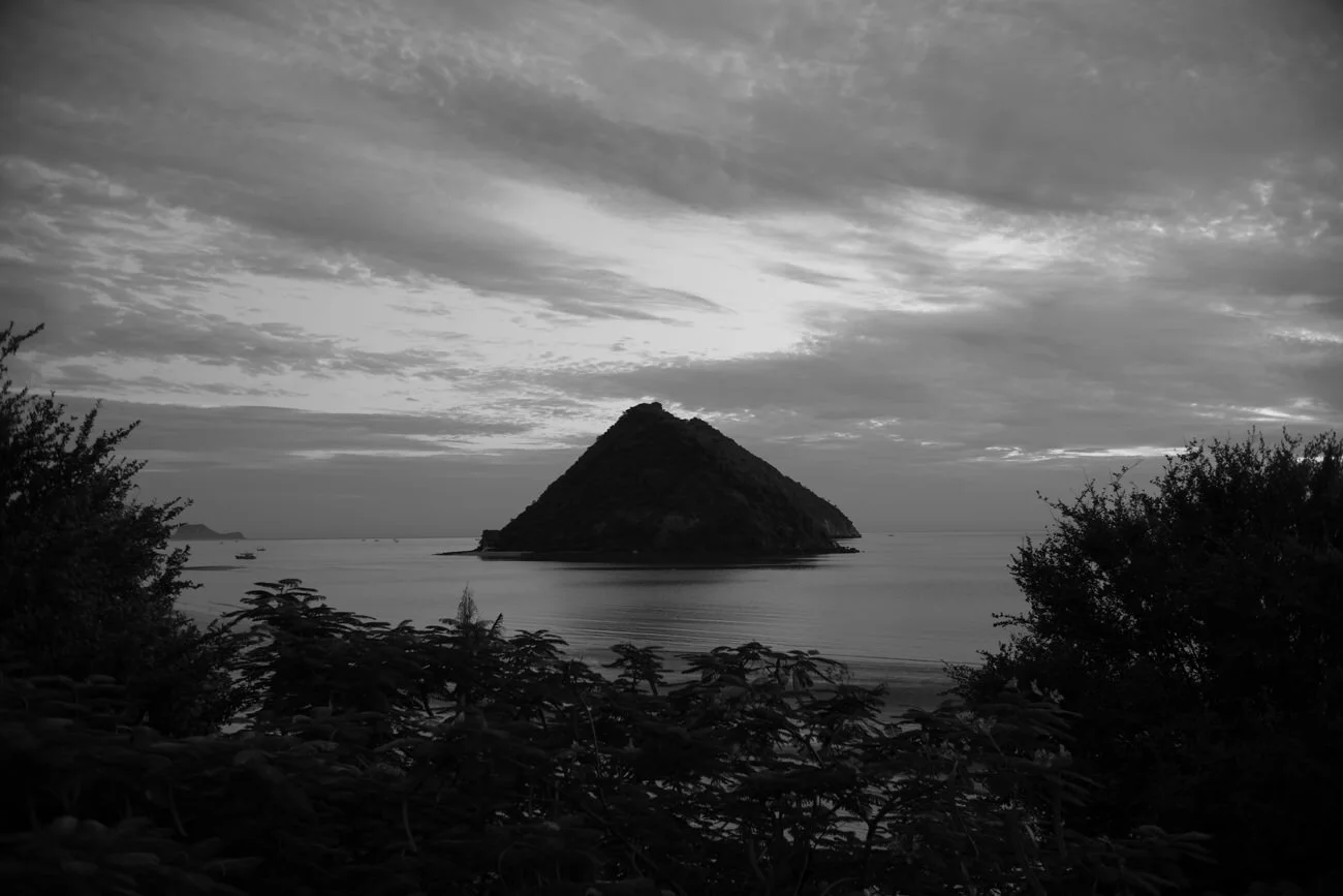L1002039.jpg