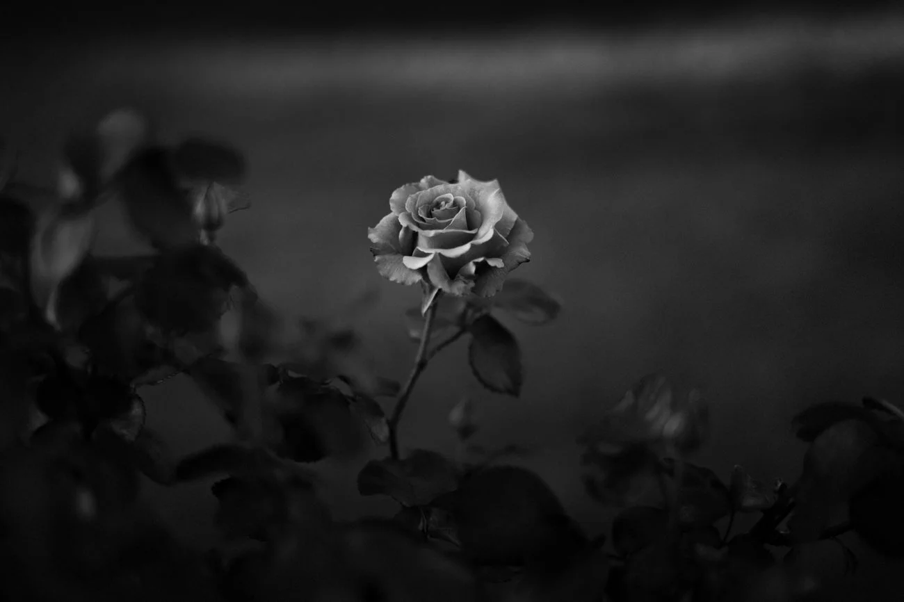 L1002549-Edit.jpg
