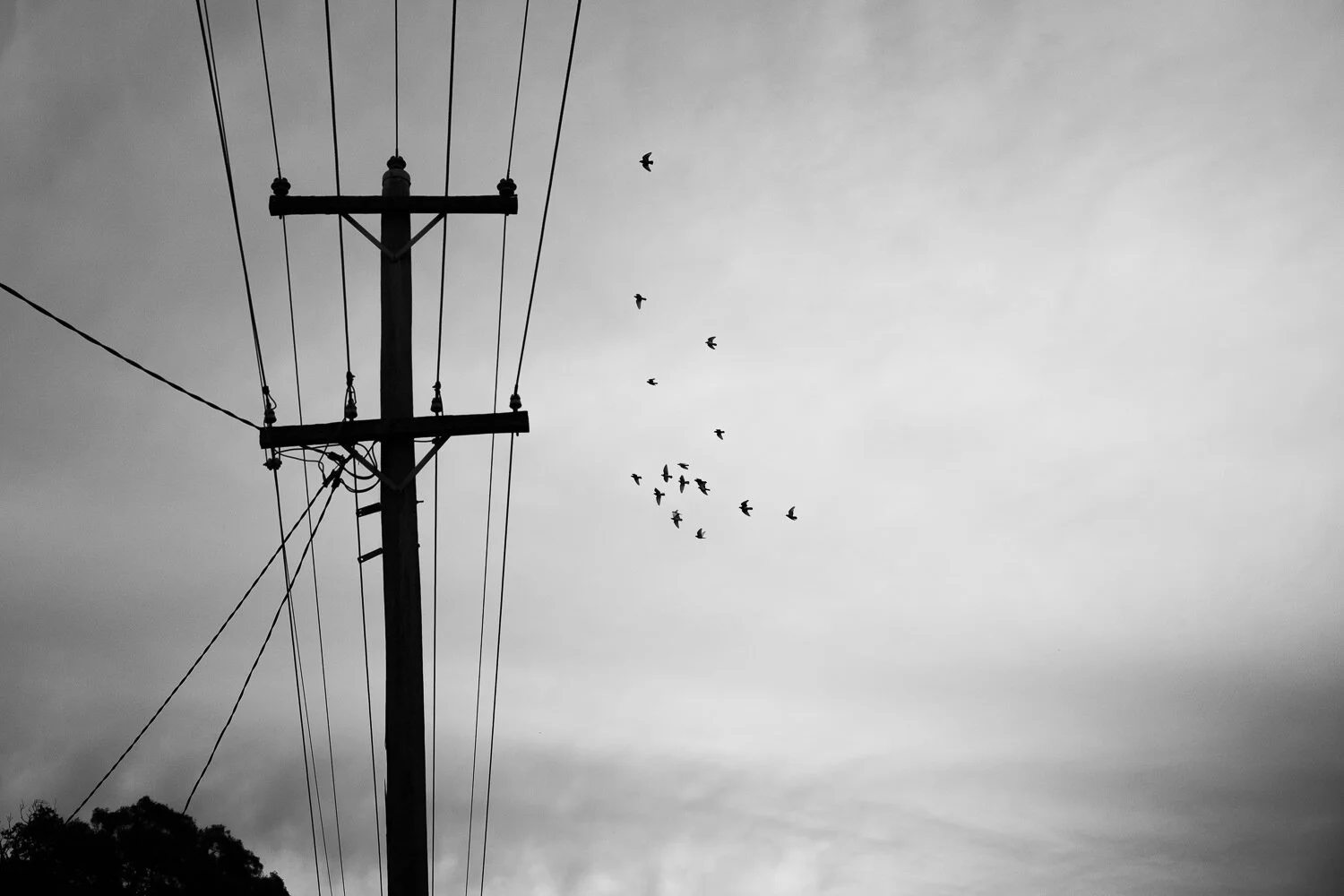 L1002905-Edit.jpg