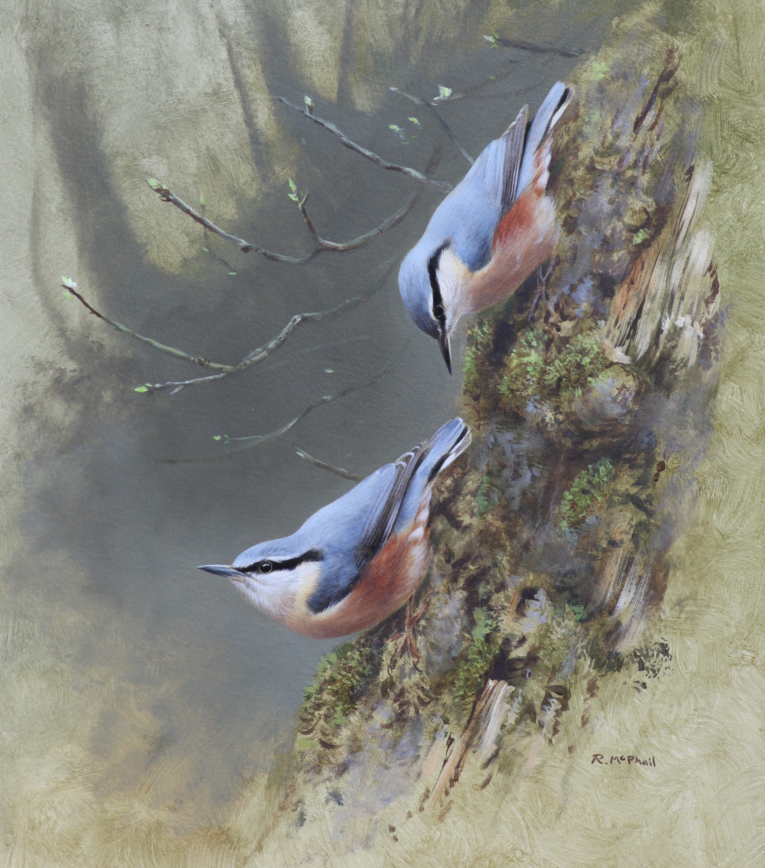 Two Nuthatches