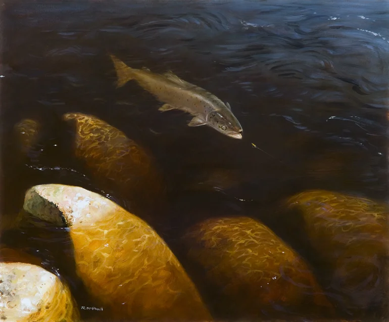 Salmon