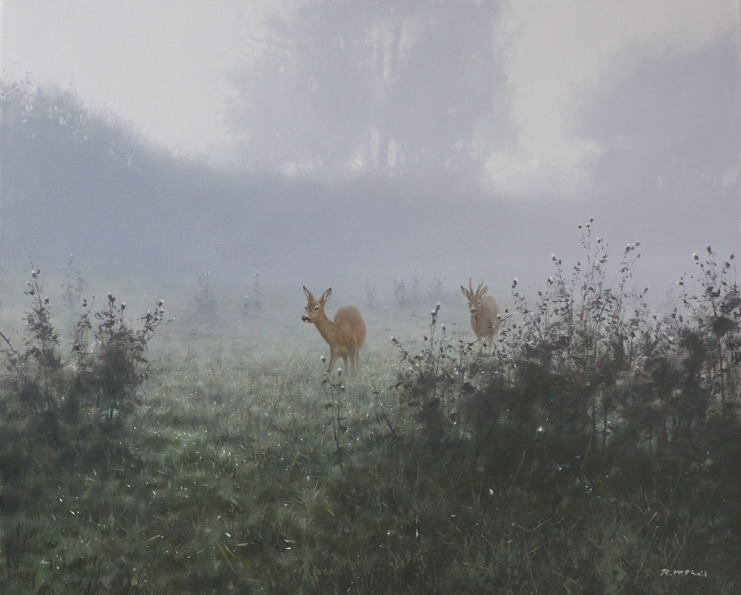 Roe Deer in the Mist