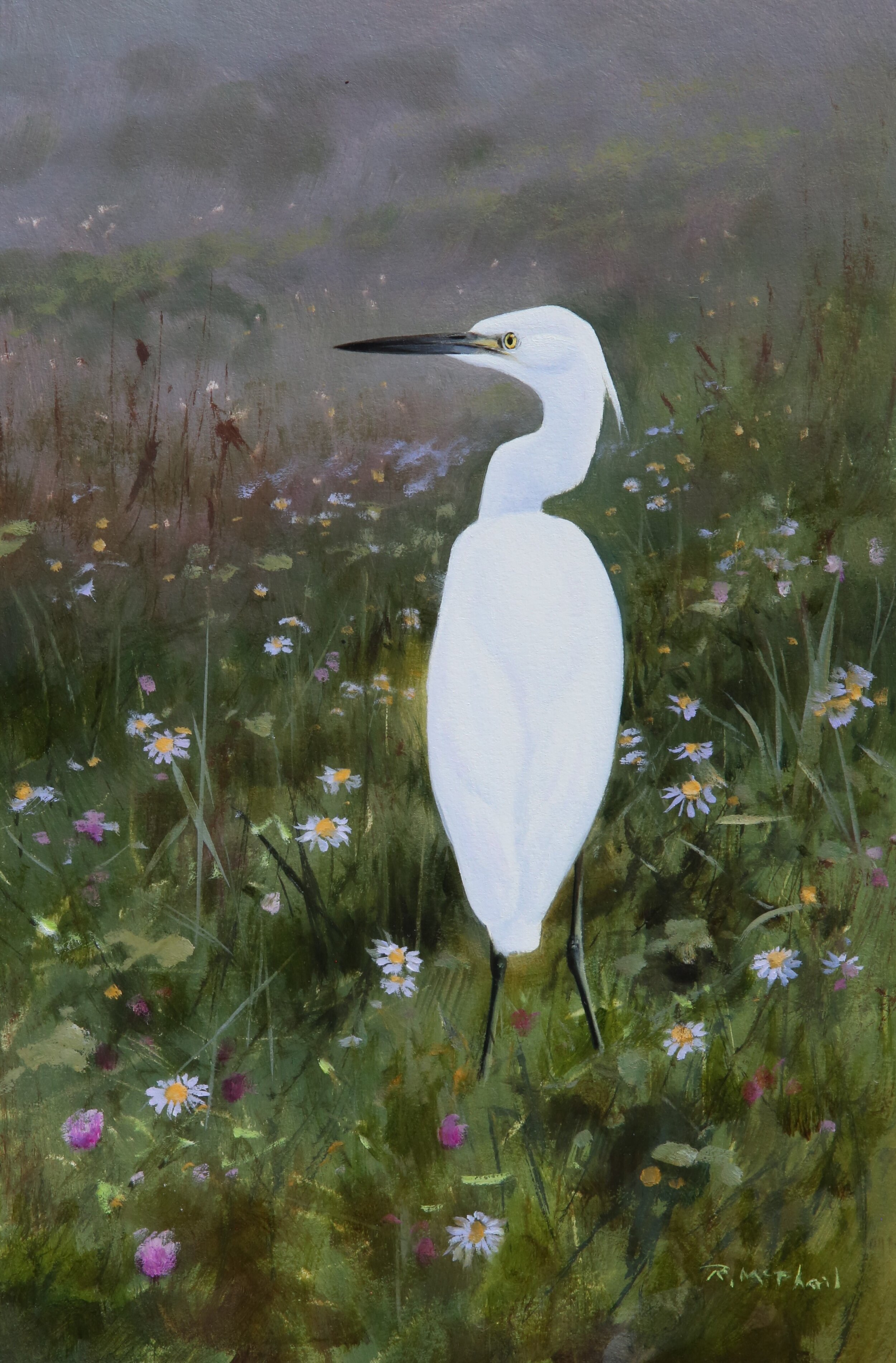 Egret