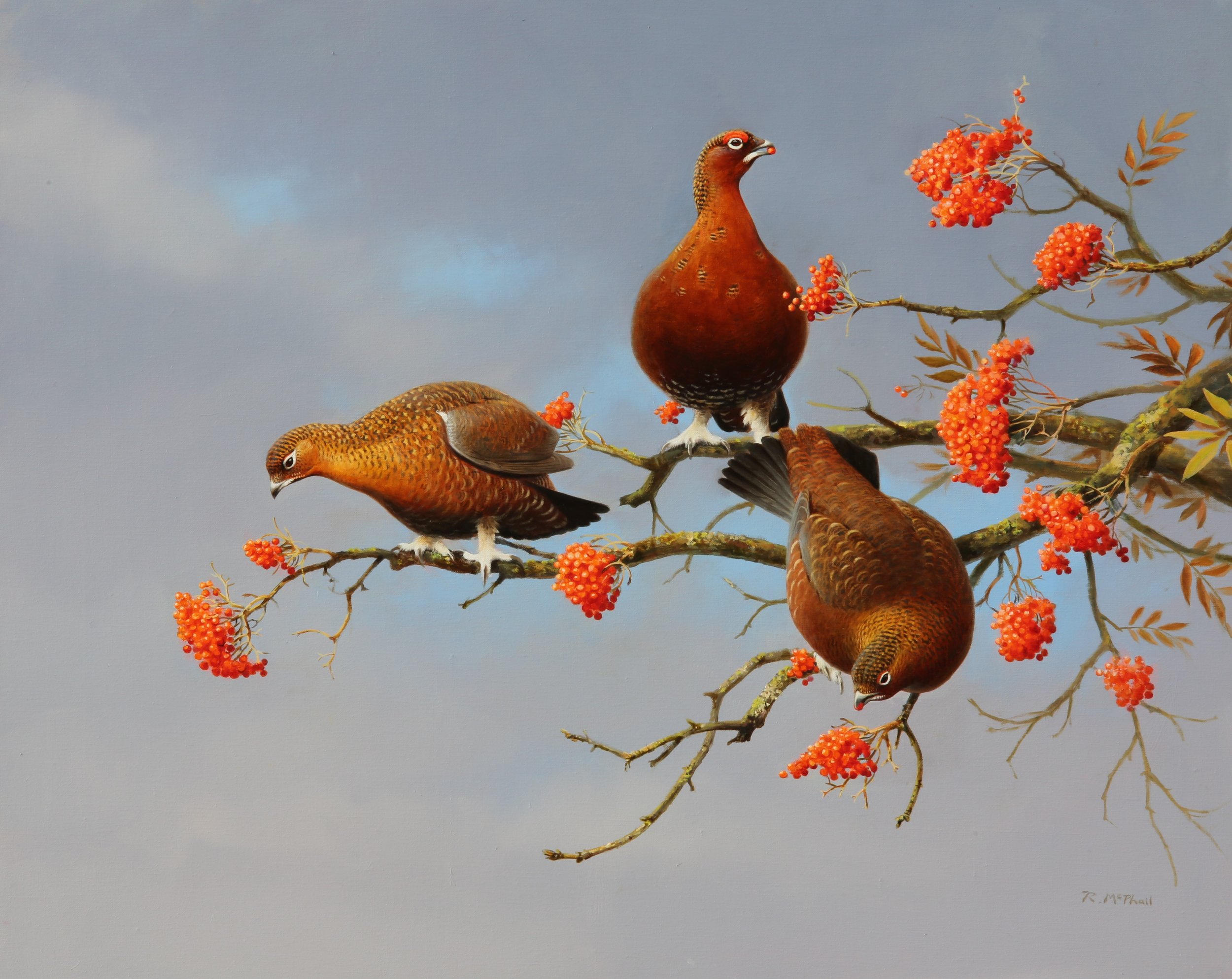 Grouse & Rowan Berries